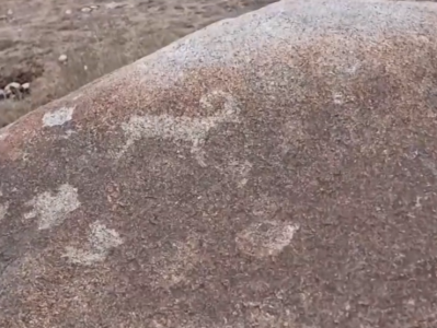 3000多年前天山山区就有“涂鸦”？当地岩画群保护调查工作已开展