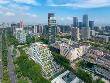 民营经济：深圳经济的一张亮丽“名片” 
