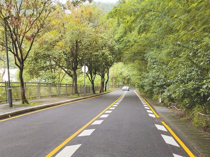 深圳道路坑洼破损整治专项行动成效明显：道路环境更畅达 市民出行更“丝滑”