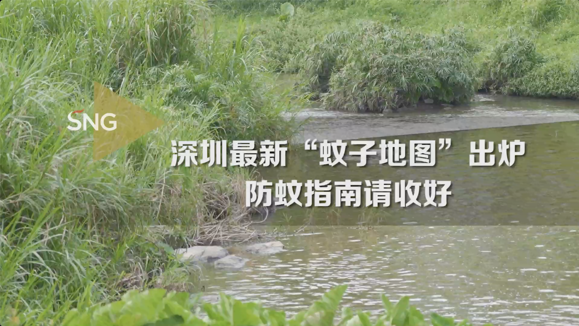 深圳最新“蚊子地图”出炉