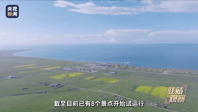 06.gif