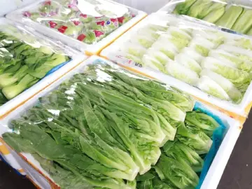 “苏拉”来了不要慌！深圳可随时调运日常3倍-5倍量农产品