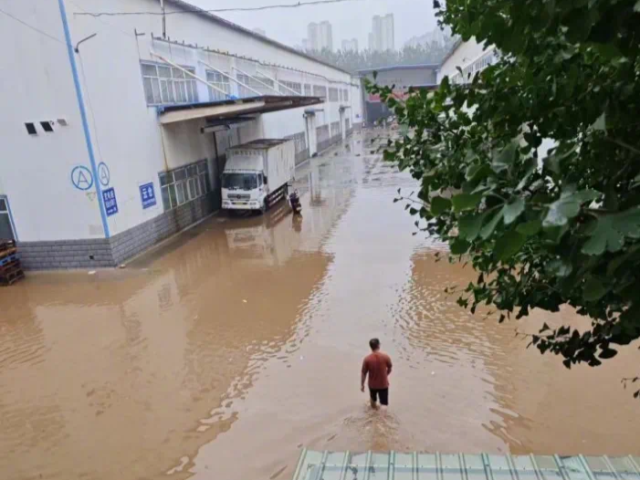 涿州图书库房：在自救与互助中守望书业明天