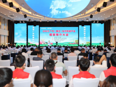 广东“乡村休闲产业”首场县域招商在廉江举办，14个项目集中签约总投资达5.81亿元