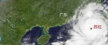 台风黄色预警预发布！这些航线航班暂停运行！