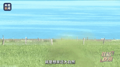 03.gif
