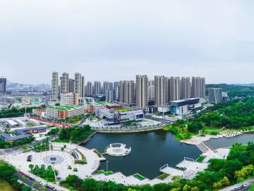 一个个优质的初创企业快速“出圈”  坪山：做强产业激活动能