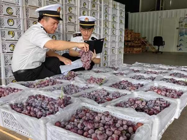 中国味道飘香海外！深圳中秋应节食品迎出口高峰