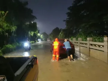 暴雨过后，消毒防病怎么做？宝安疾控发布提醒