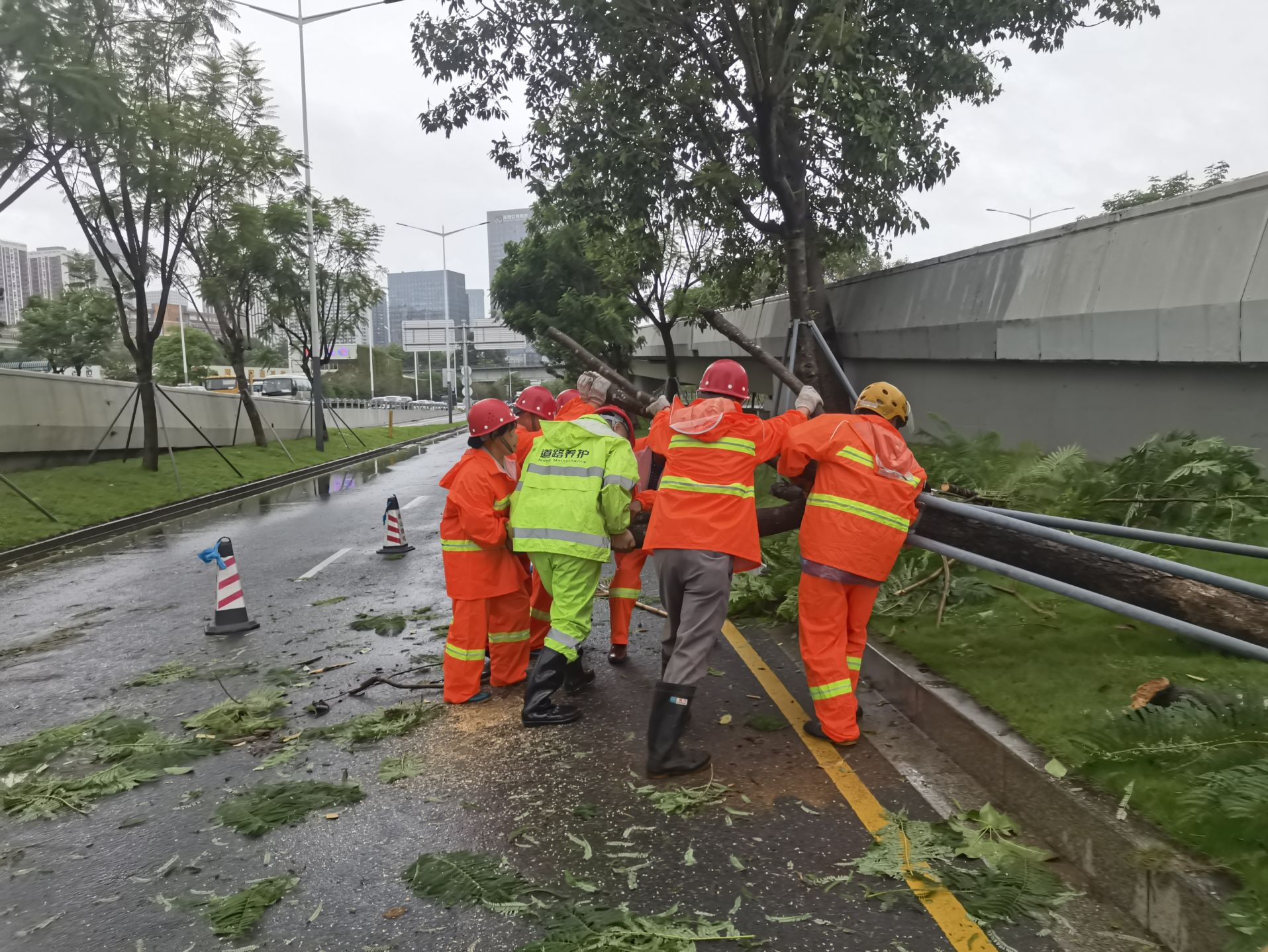 防御台风护城市安全，深圳交通织就平安出行“保障网”