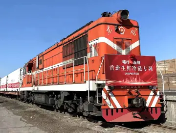 640吨西梅！中集集鲜生喀什至深圳首趟冷链专列开行