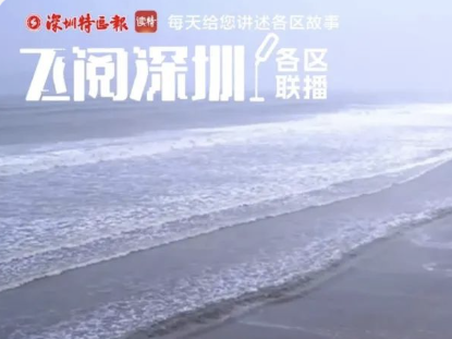 飞阅深圳·各区联播丨“苏拉”来势汹汹，各区全力迎战！