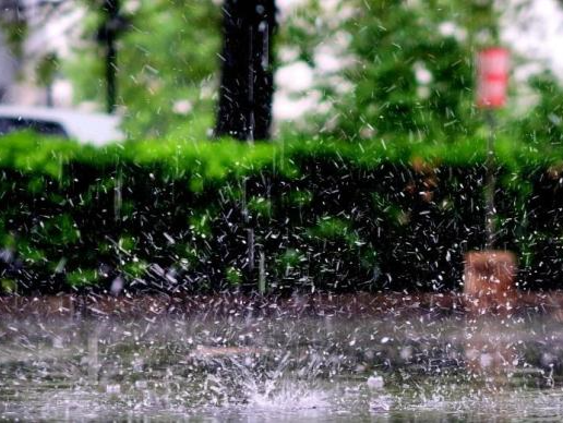 新一轮强降雨来临 长江防总、长江委发布汛情通报