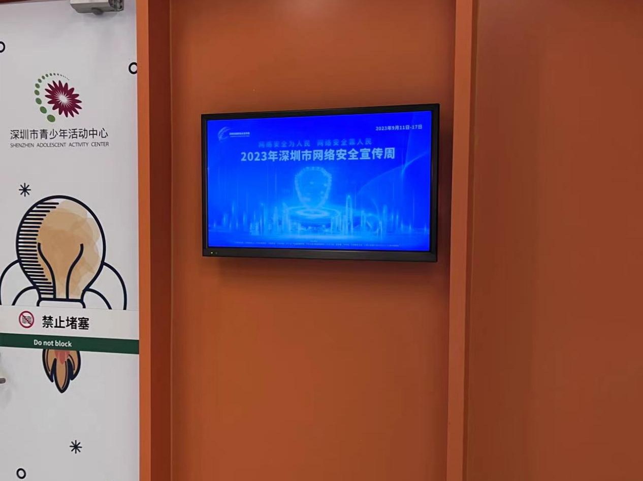 团市委开展青少年网络安全宣传日活动