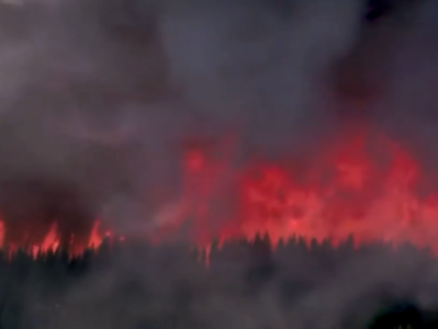 加拿大今年林火过火面积达16.3万平方公里