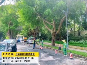 边坡巡查、树木加固、工地停工……罗湖区第一时间响应，积极开展防御台风工作