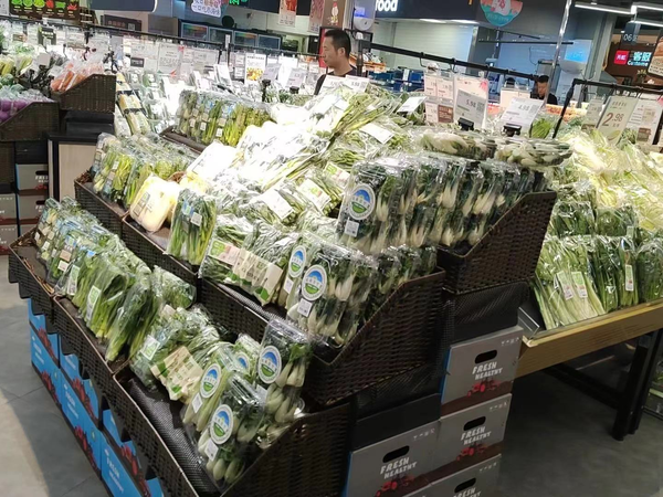 台风天，深圳“菜篮子”管够管足管稳！