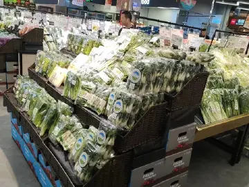 台风天，深圳“菜篮子”管够管足管稳！