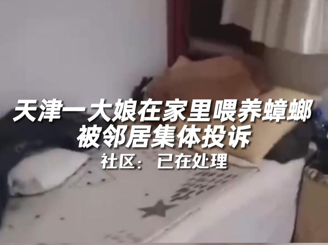 天津一大娘在家里喂养蟑螂，被邻居集体投诉 社区：已在处理