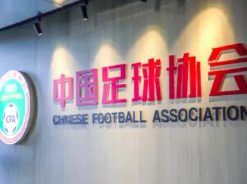 球迷张挂侮辱性标语 成都蓉城俱乐部和成都赛区被罚