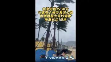 大海沙海岸海浪已达1.5米