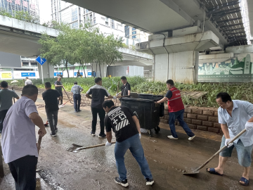 罗湖区城管和综合执法局全力开展雨后减灾恢复工作