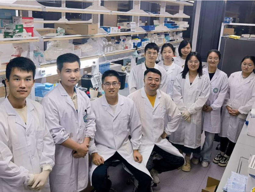 深圳科学家团队构建人体免疫系统发育图谱，并发现免疫细胞“新类型”