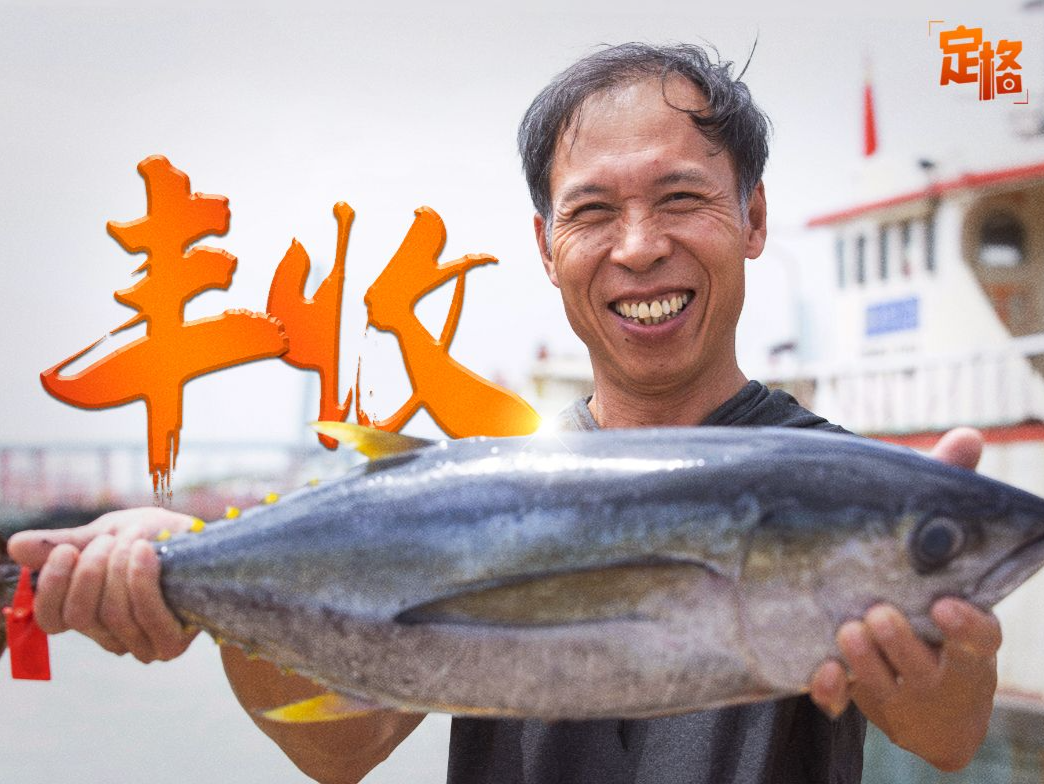 珠海洪湾中心渔港热闹非凡 斑驳渔船满载收获喜悦