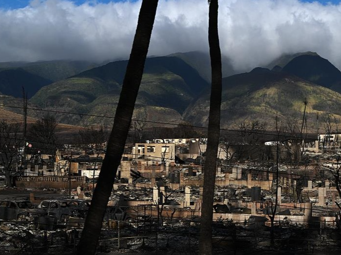 美国官方数据：仍有385人因夏威夷大火失踪