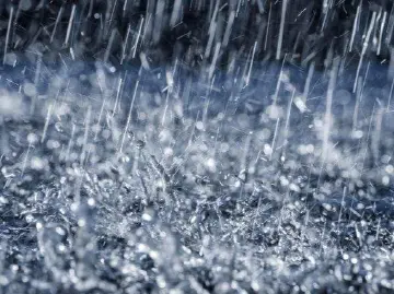 最新！深圳特大暴雨打破7项历史极值
