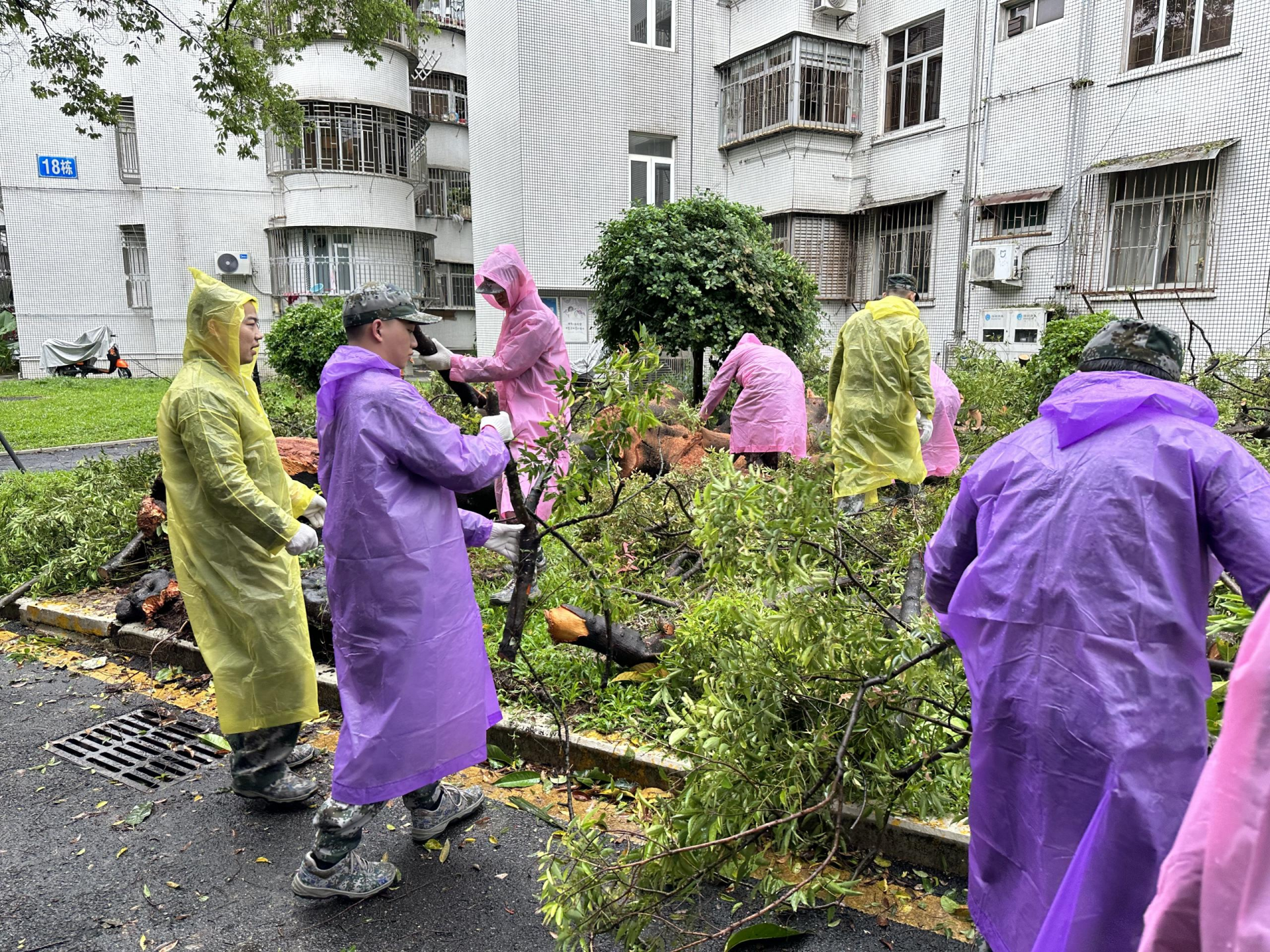 抗击风雨，守护平安——华强北街道众志成城御台风