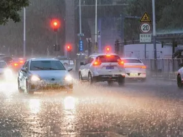 车泡水、无法上班、被断枝砸伤……与暴雨相关的法律问题速知晓