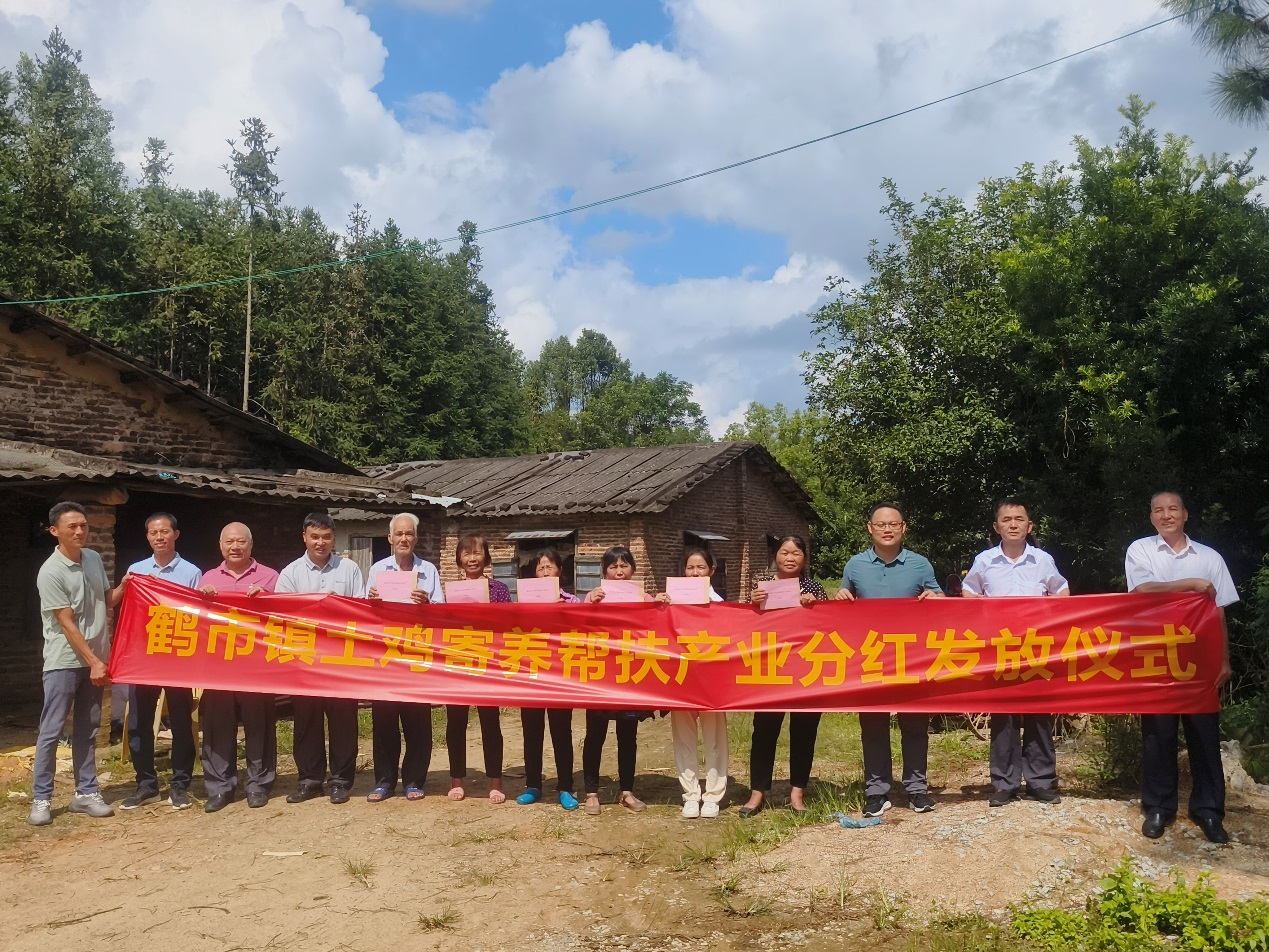 深河共建 圳在帮扶 | 驻鹤市镇工作队：土鸡寄养项目为边缘易致贫户兜底