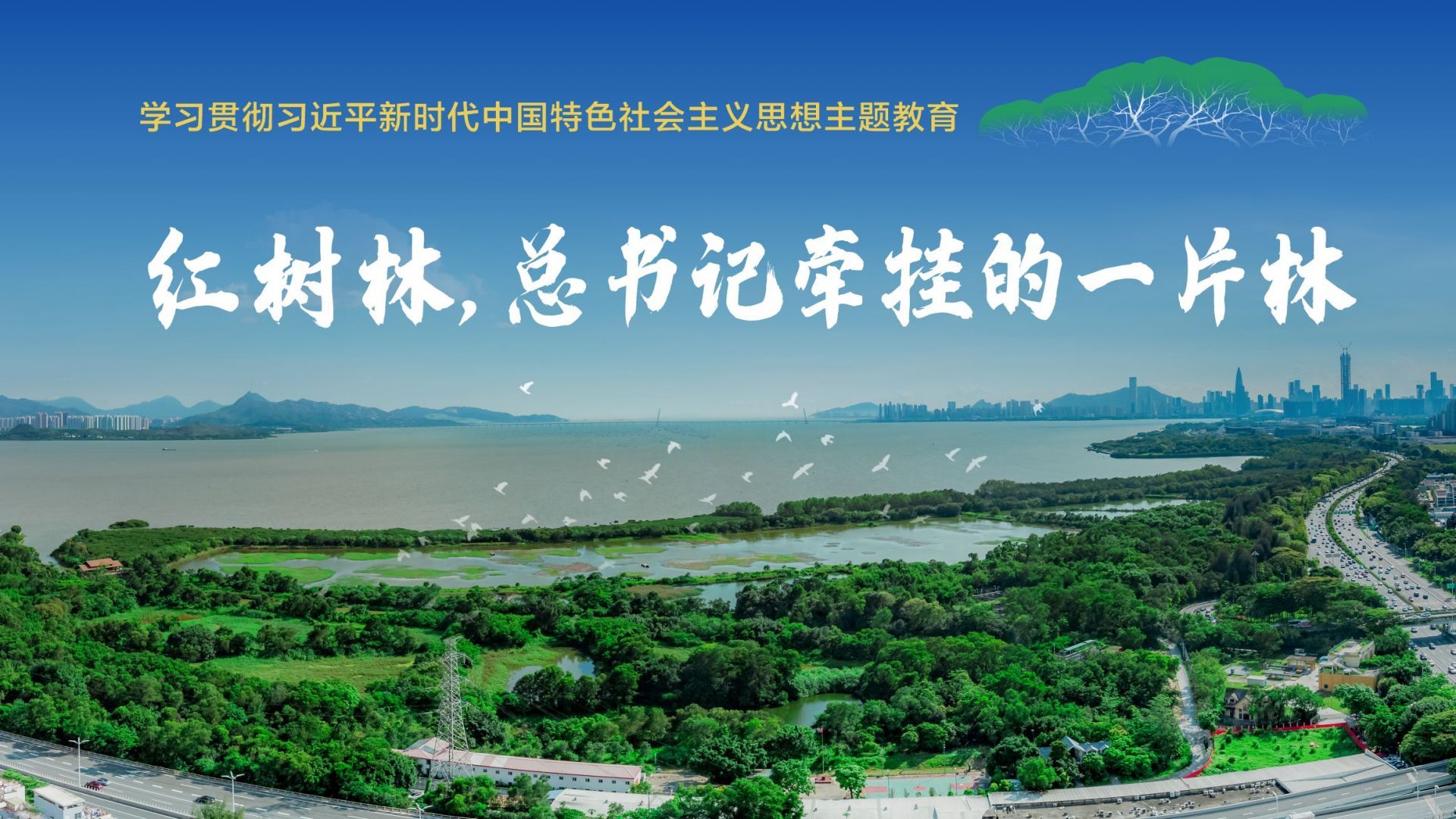 这片林，为何让总书记念念不忘？