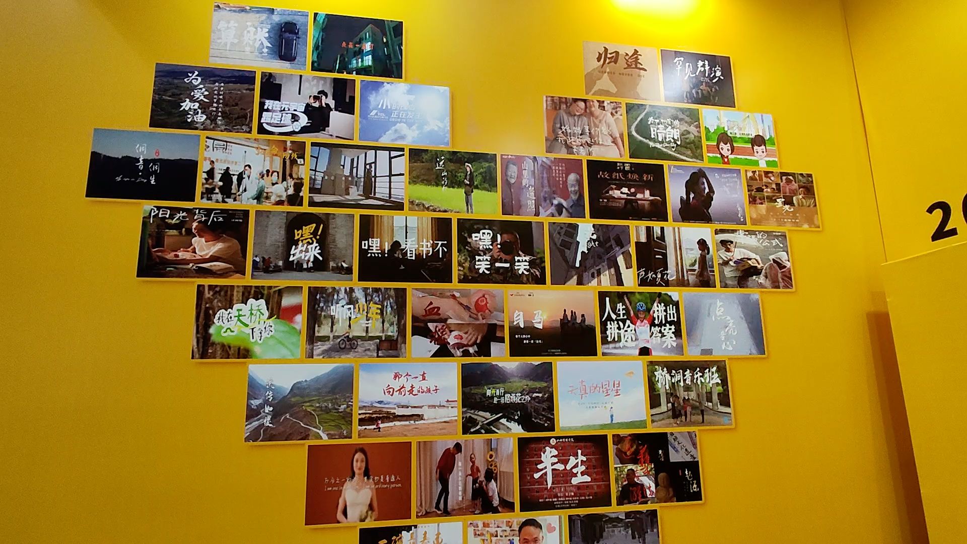 用影像传播公益 开启十年公益映像新篇章