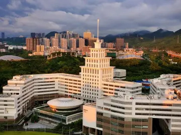 哈工大（深圳）经济管理学院副教授周豫：强强联合，推动合作区建设上新高度