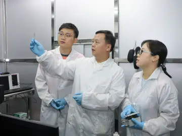 南科大张立源：在“冷门”研究中采摘最甜美的“果实”
