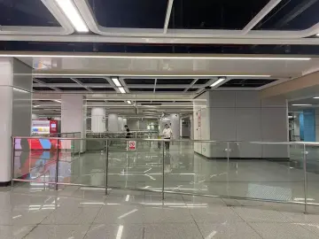 深圳交通逐步有序恢复！