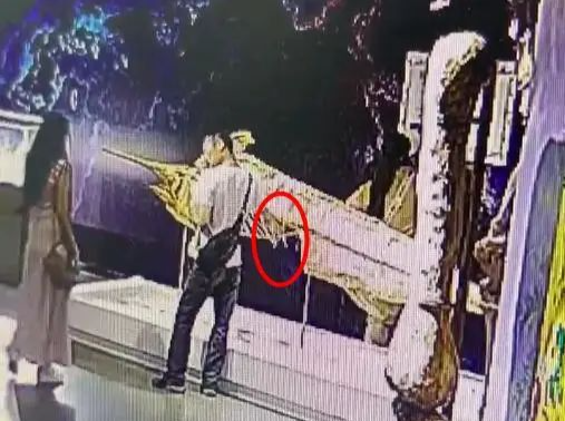 古生物标本被掰断“肋骨”，博物馆最新发声