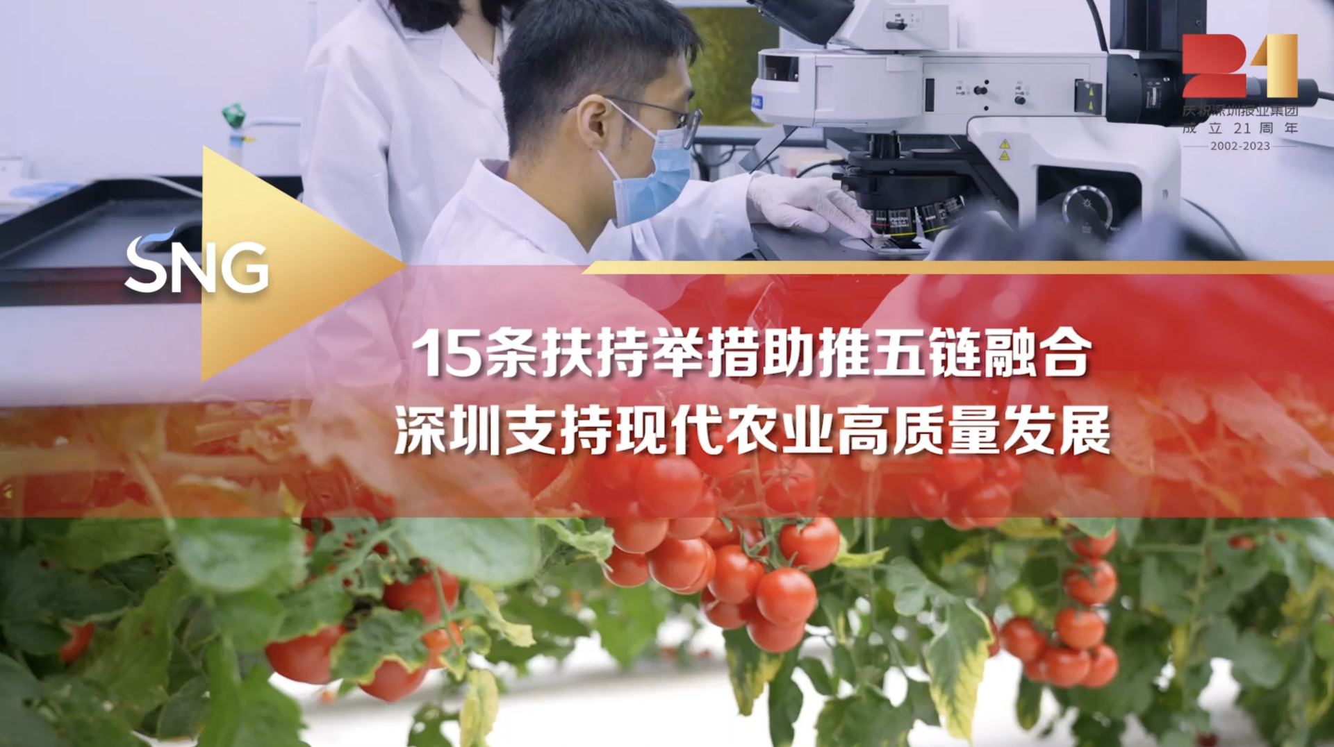 政策推动深圳现代农业高质量发展