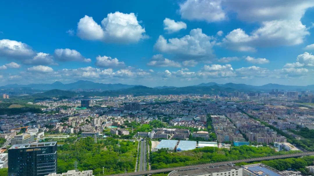 【投坪山·创未来③】以一流营商环境实现高质量发展新飞跃