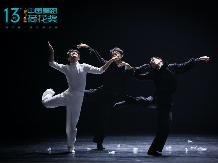 静待“荷”开！第十三届中国舞蹈“荷花奖”当代舞、现代舞终评落幕