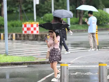 滚动 | 台风预警解除！深圳全力以“复”！