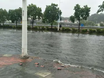 警惕海水倒灌！台风登陆不等于危险解除