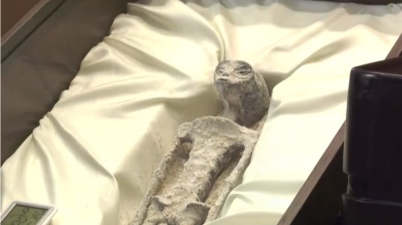 墨西哥议会举行听证会 展出疑似“外星生物”遗骸