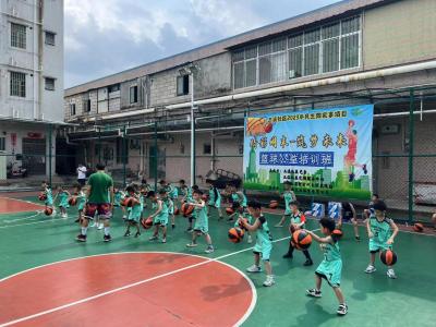 增强青少年体质！葵涌街道7个社区开展篮球公益培训班活动