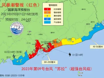 “苏拉”逼近：今年首个风暴潮、海浪双红警报拉响