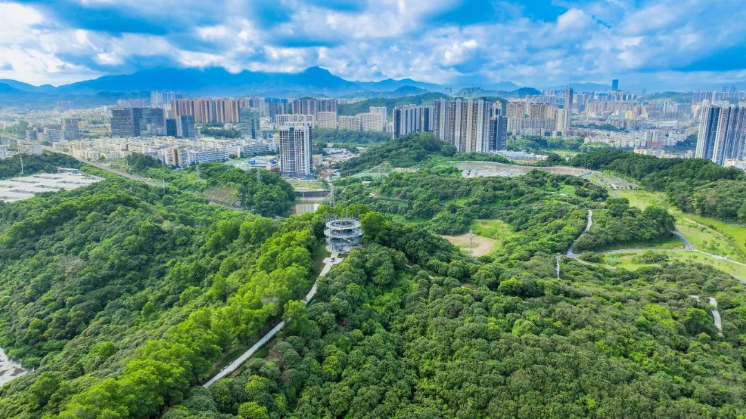 “双节”到龙岗玩点啥？快来收藏这份指南