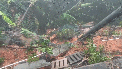 暴雨袭城，梧桐山怎么样了？