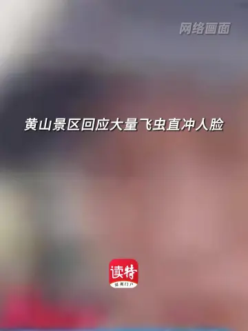 黄山景区回应大量飞虫直冲人脸：已与园林部门沟通 近期处理